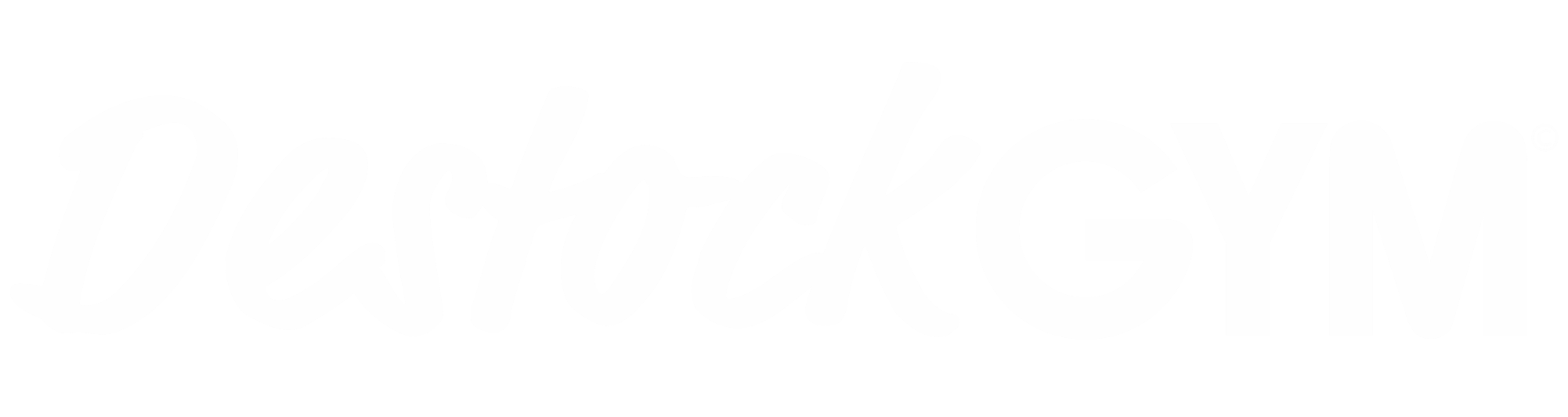 Logo de la marque DestockGym en blanc