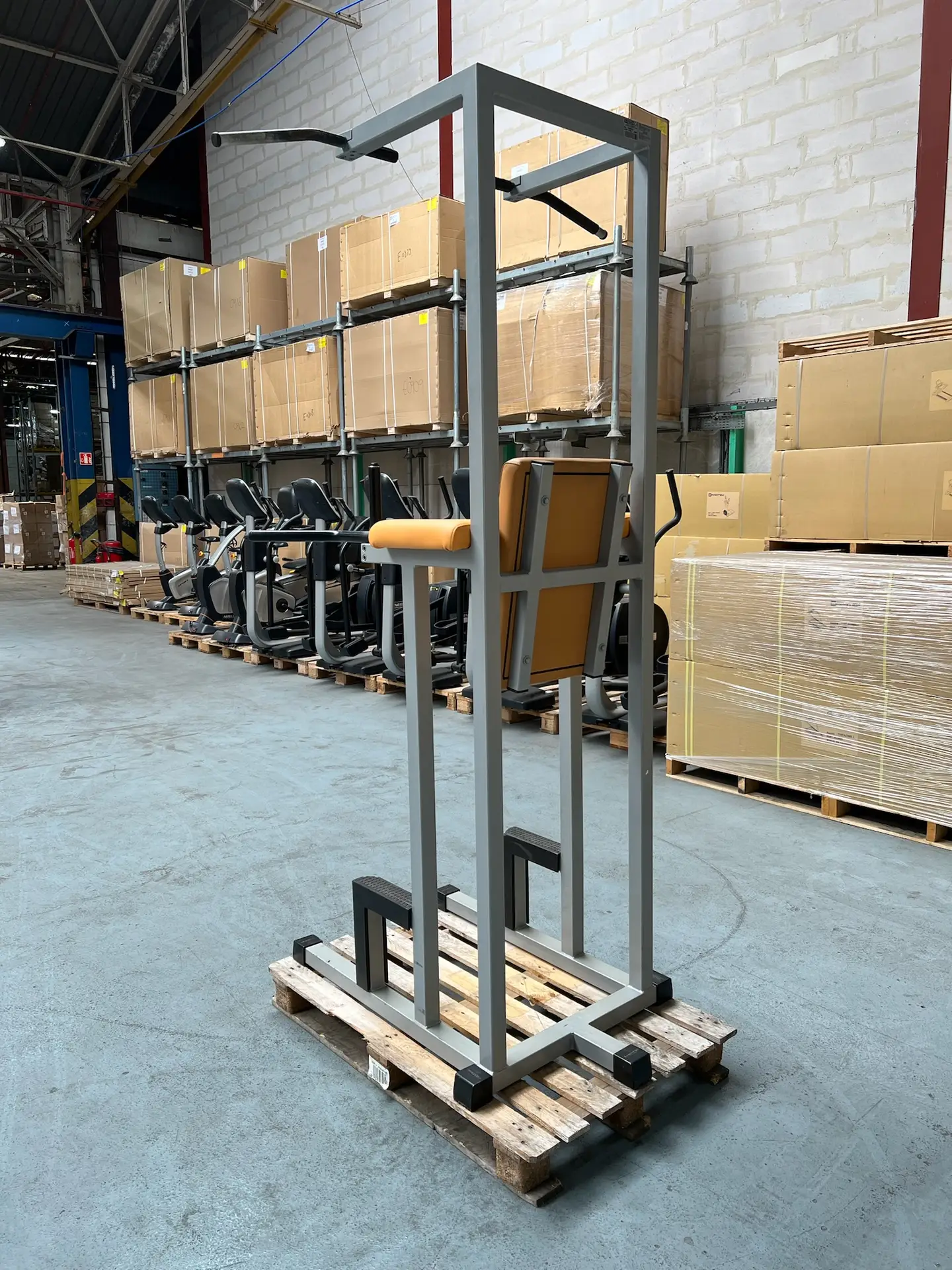 Combined C010 Isotonic Technogym – Image 4