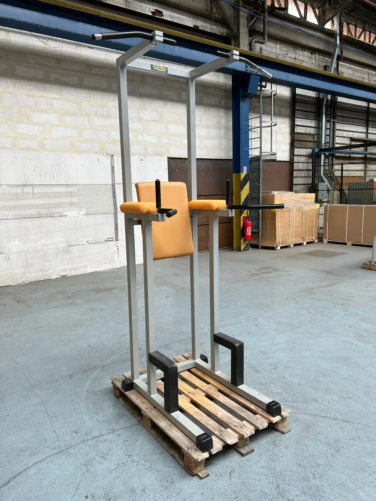 Combined C010 Isotonic Technogym – Image 2