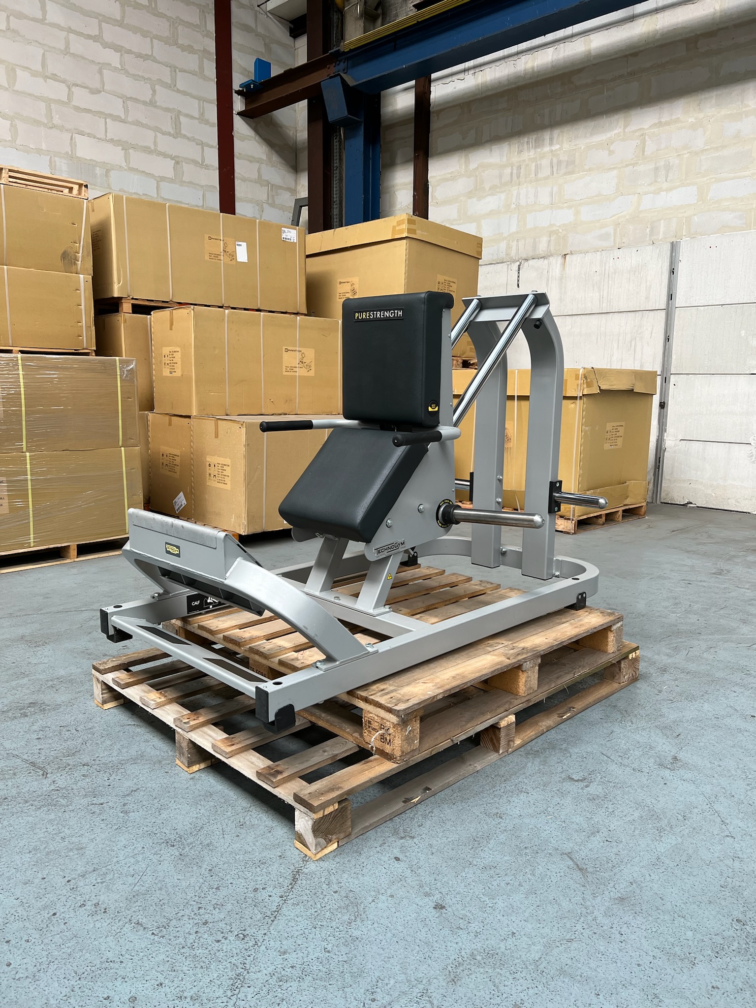 Calf Technogym MG4500 Pure Strength