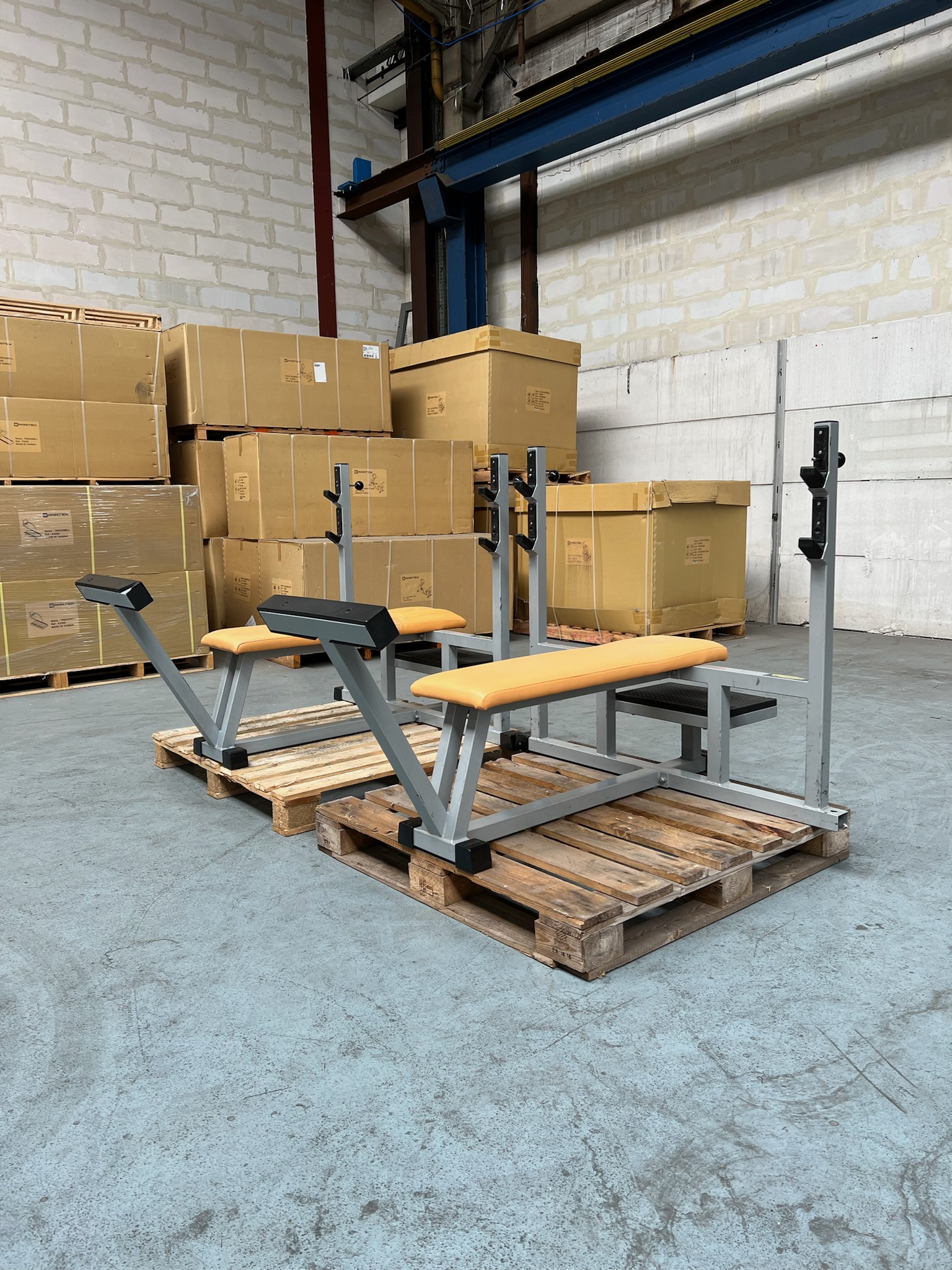 Horizontal Bench P010 Isotonic Technogym