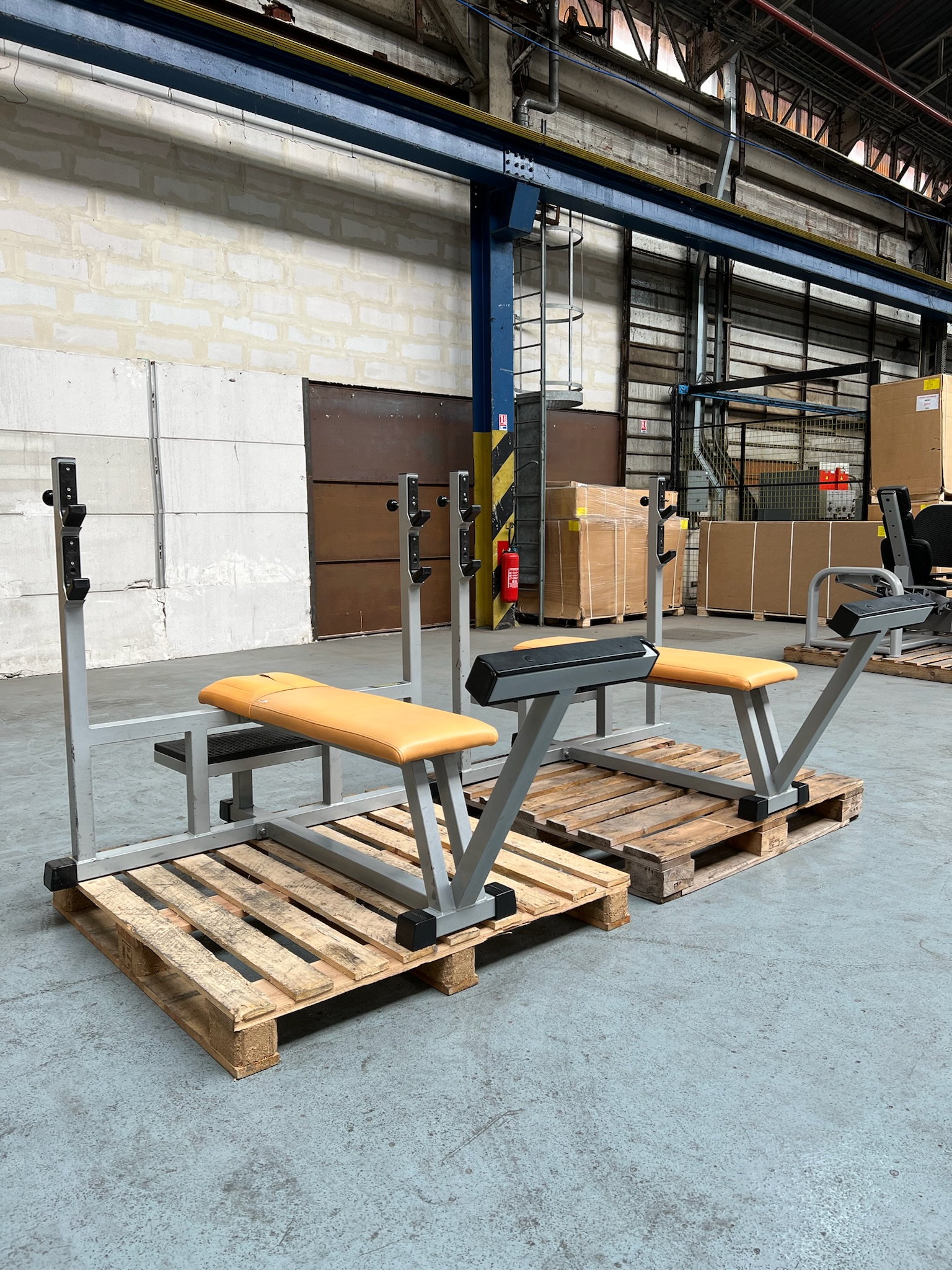 Horizontal Bench P010 Isotonic Technogym – Image 4