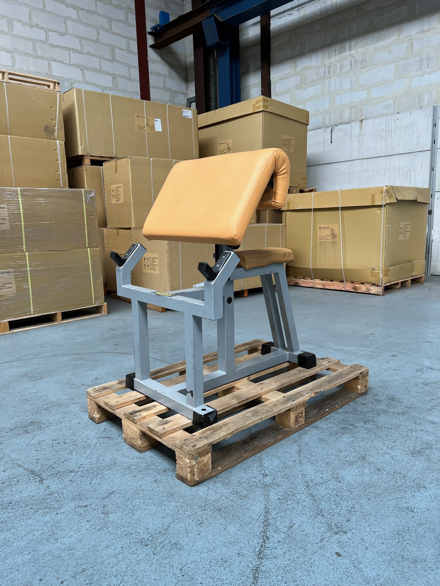 Scott Bench P017 Isotonic Technogym