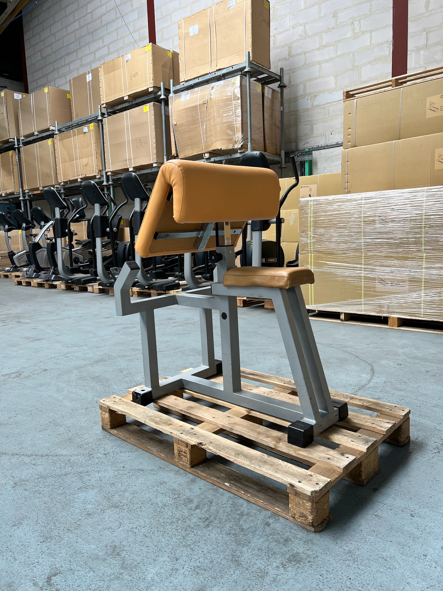 Scott Bench P017 Isotonic Technogym – Image 2