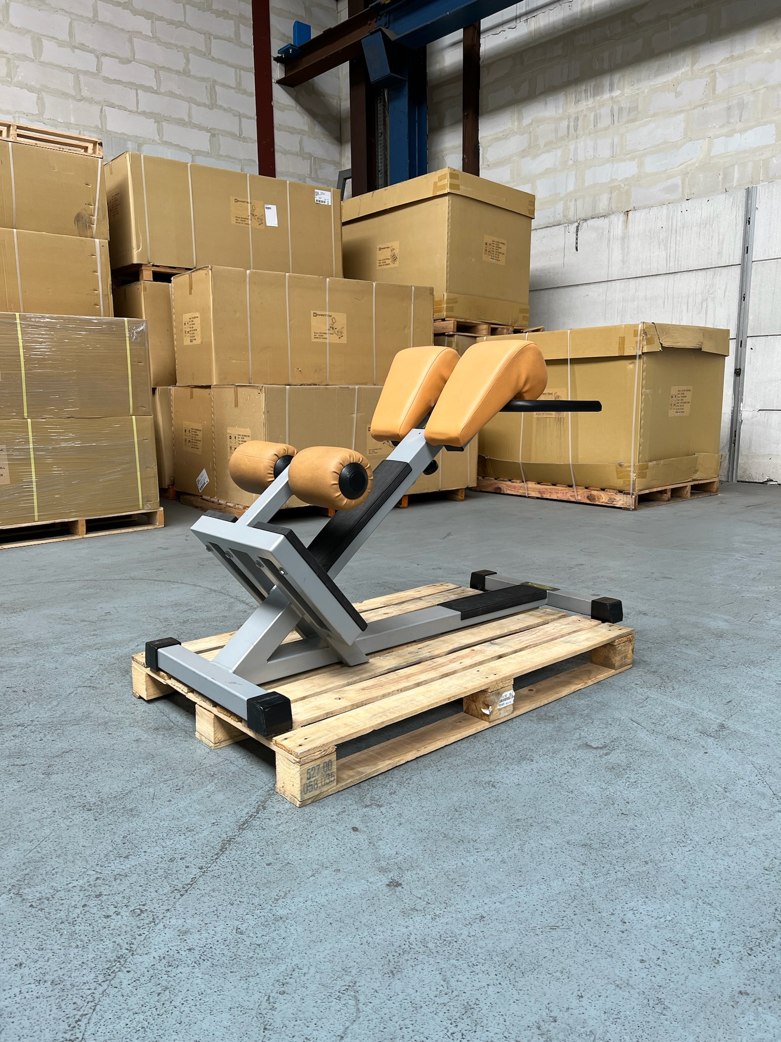 Lower Back Bench P025 Isotonic Technogym