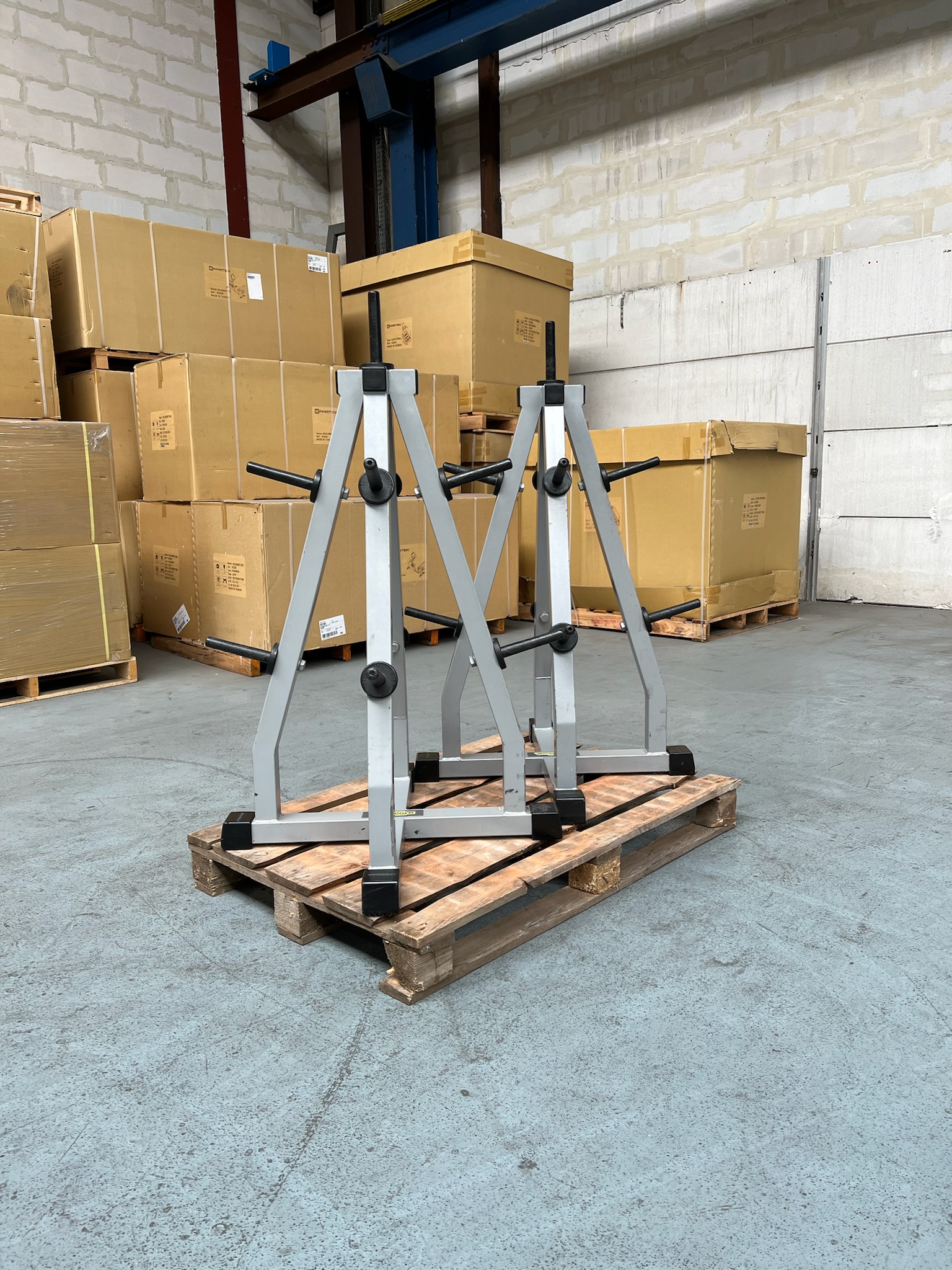 Weight Plate Tree S012 Isotonic Technogym