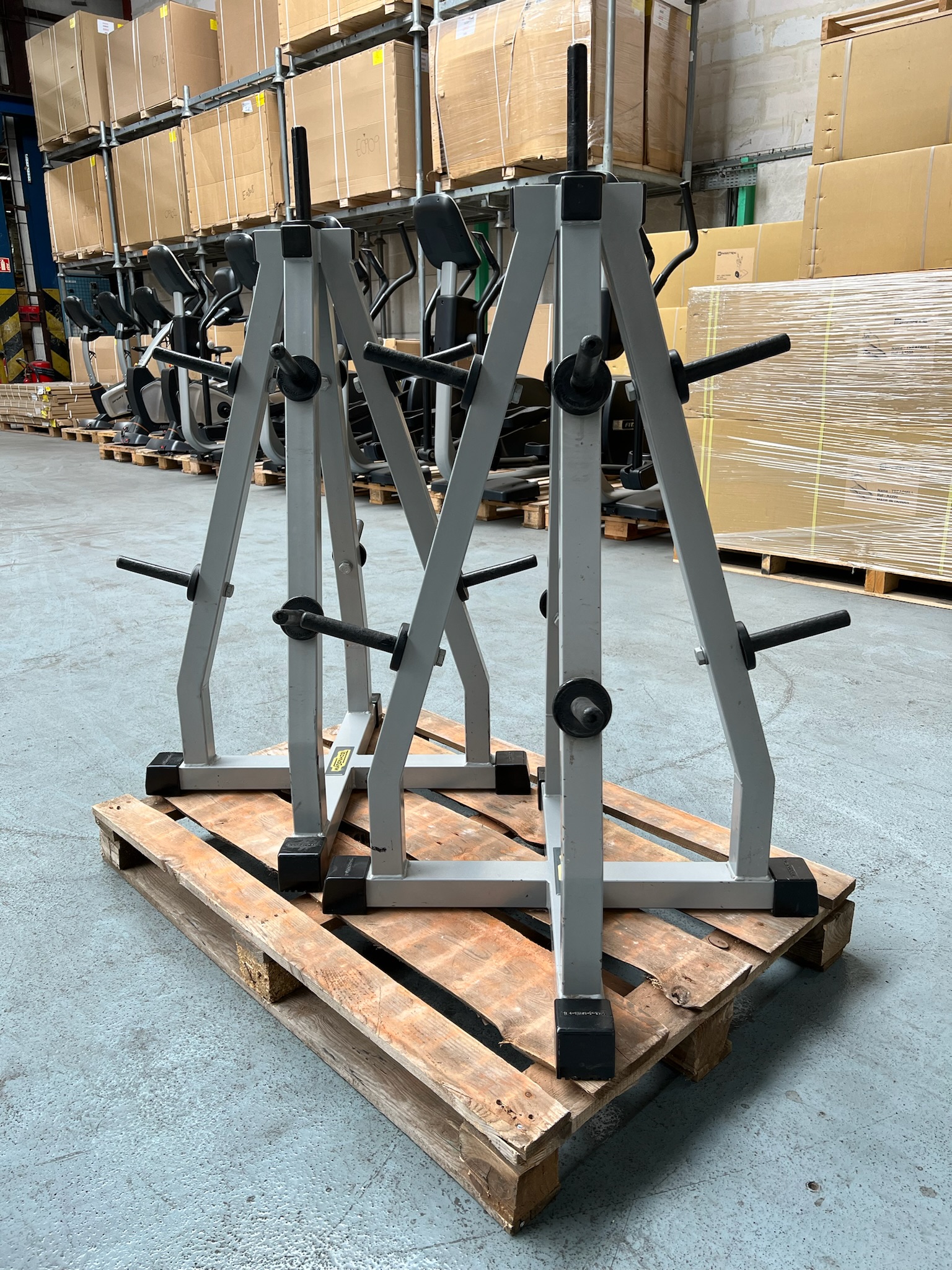 Weight Plate Tree S012 Isotonic Technogym – Image 3