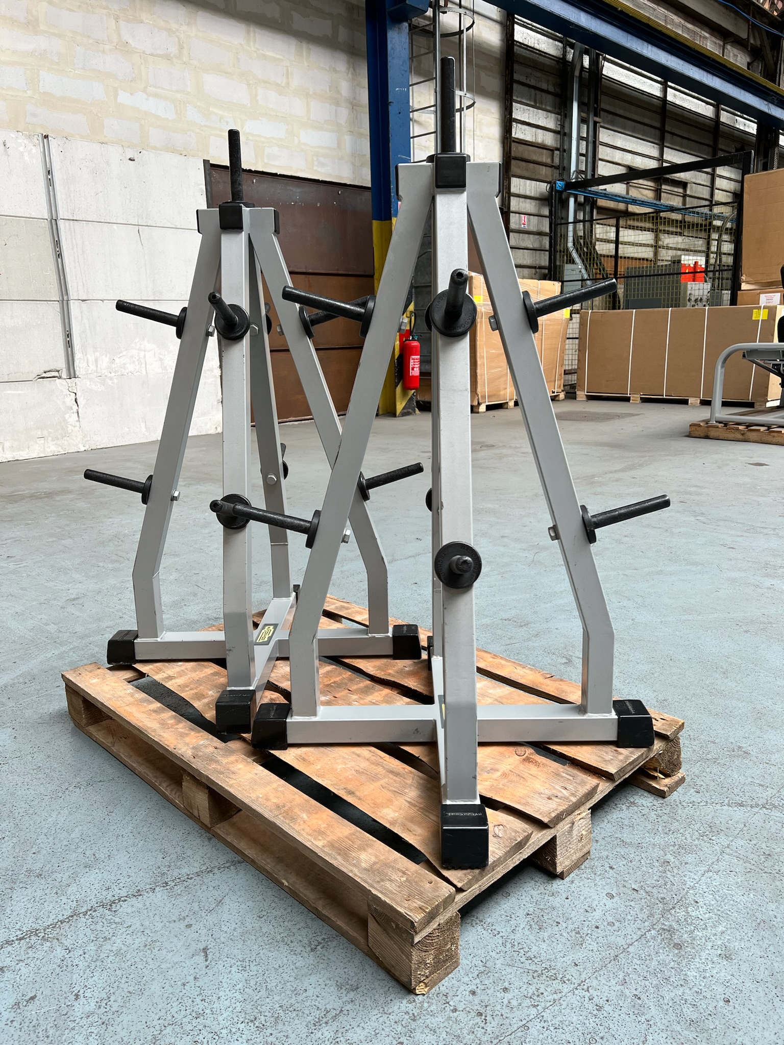 Weight Plate Tree S012 Isotonic Technogym – Image 5