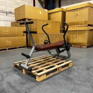 Banc Abdominaux Professionnel