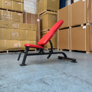 Banc de Musculation Ajustable Professionnel