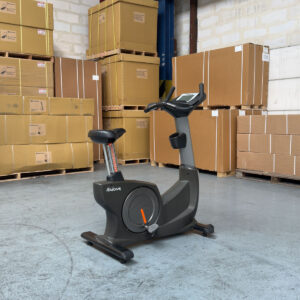Upright Bike Professionnel