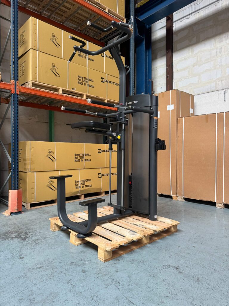 Dip-Chin Machine E0914 SPARTEK