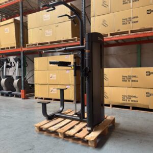 Dip-Chin Machine E0914 SPARTEK