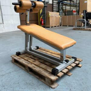 Abdominal Machine P015 Technogym