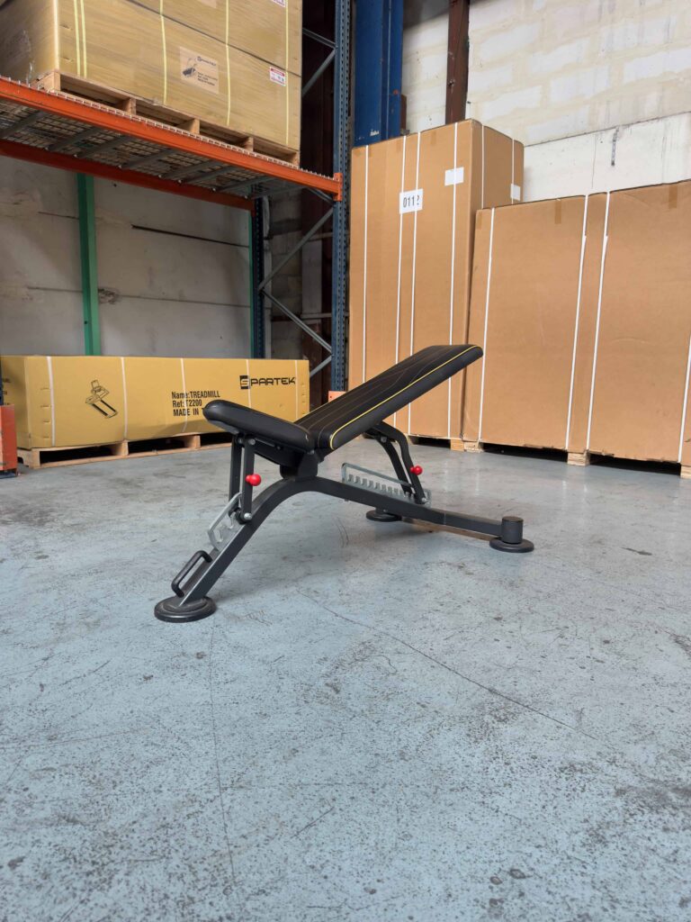 Fully Adjustable Bench 1SC201 Panatta