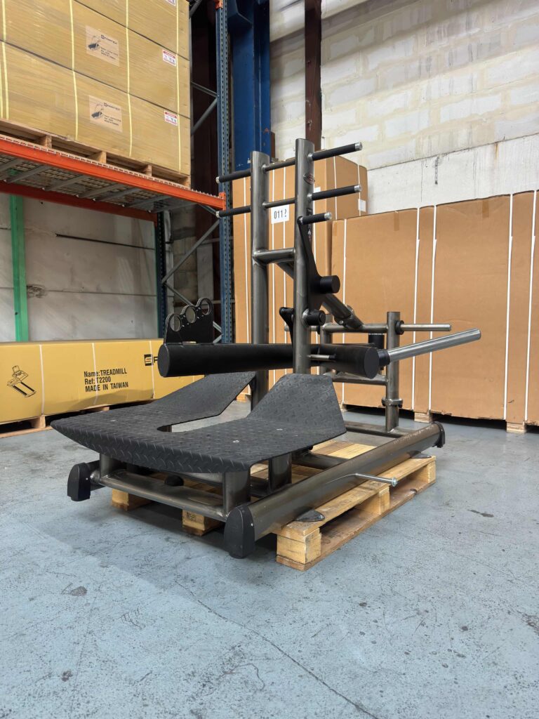 Belt Squat Gym 80