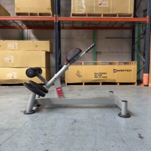 Hyperextension 45° Bench 1SC221 Panatta