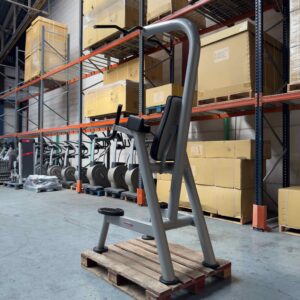 Chin and Dip 1SC211 Panatta