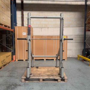 Smith Machine Linear Bearings 1SC113A Panatta