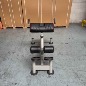 Hyperextension 45° Bench 1SC221 Panatta